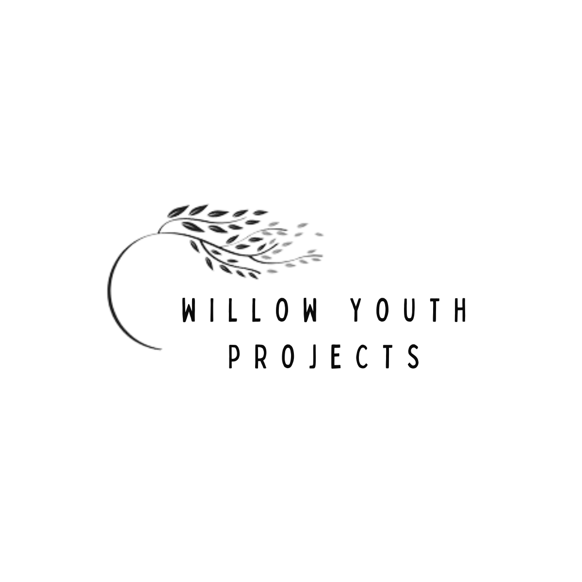 Willow Youth Projects